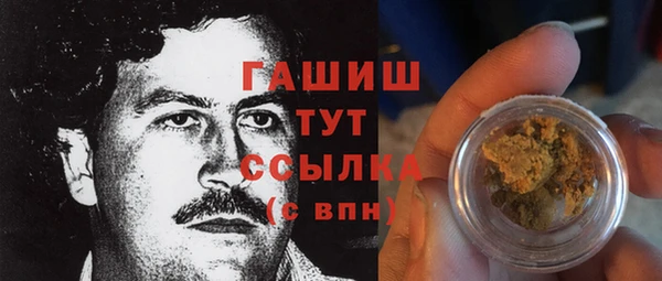 индика Богородицк