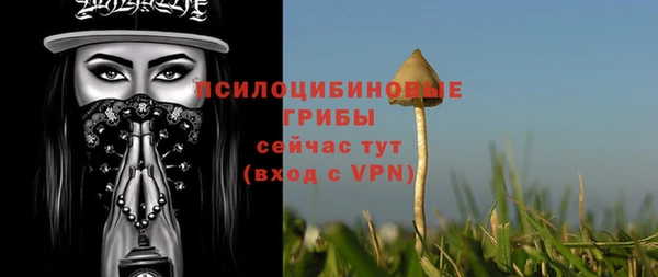 apvp Верея