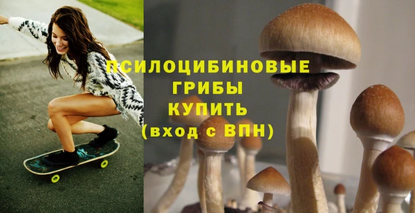 apvp Верея