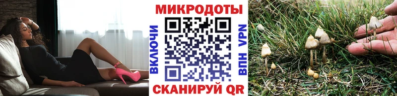 продажа наркотиков Калязин Галлюциногенные грибы Psilocybe